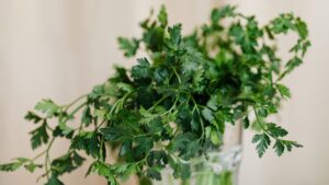 Petersilienhochzeit (12,5. Hochzeitstag): Bedeutung, Bräuche, Geschenke