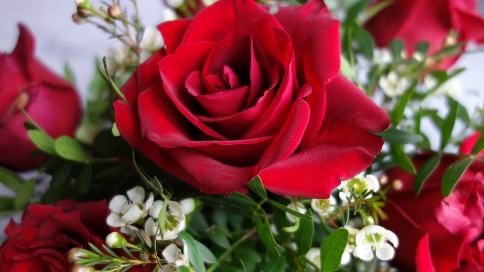 Rote Rosen mit weißen Blüten als Dekoration zur Rubinhochzeit, dem 40. Hochzeitstag